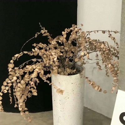 Furry绘画细节灵感Furry群